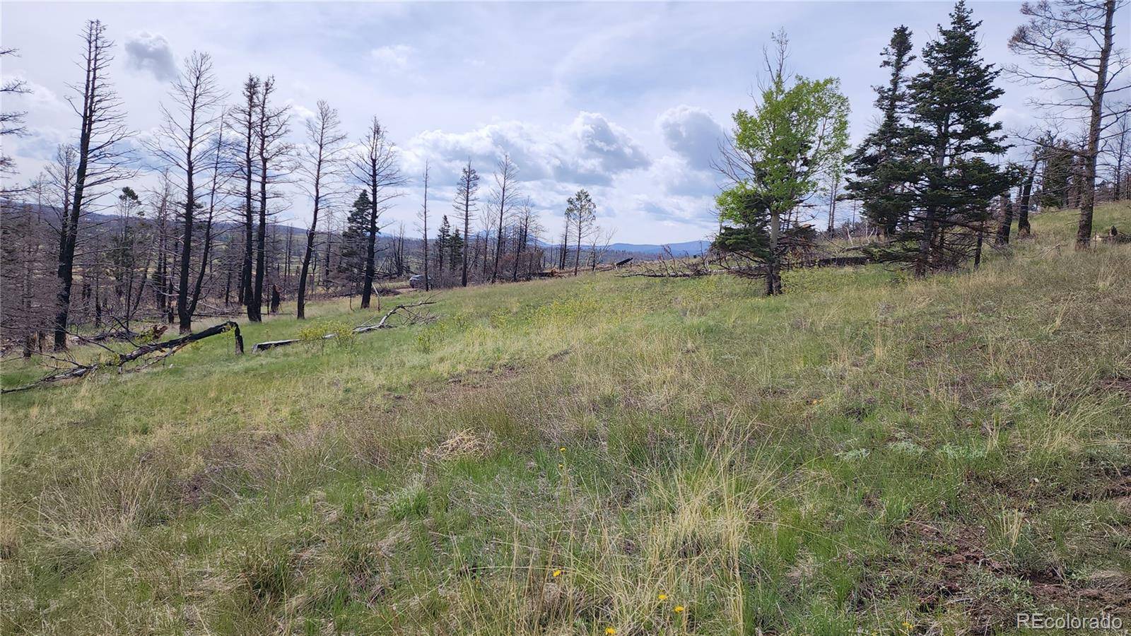 449 Duckworth DR, Fort Garland, CO 81133