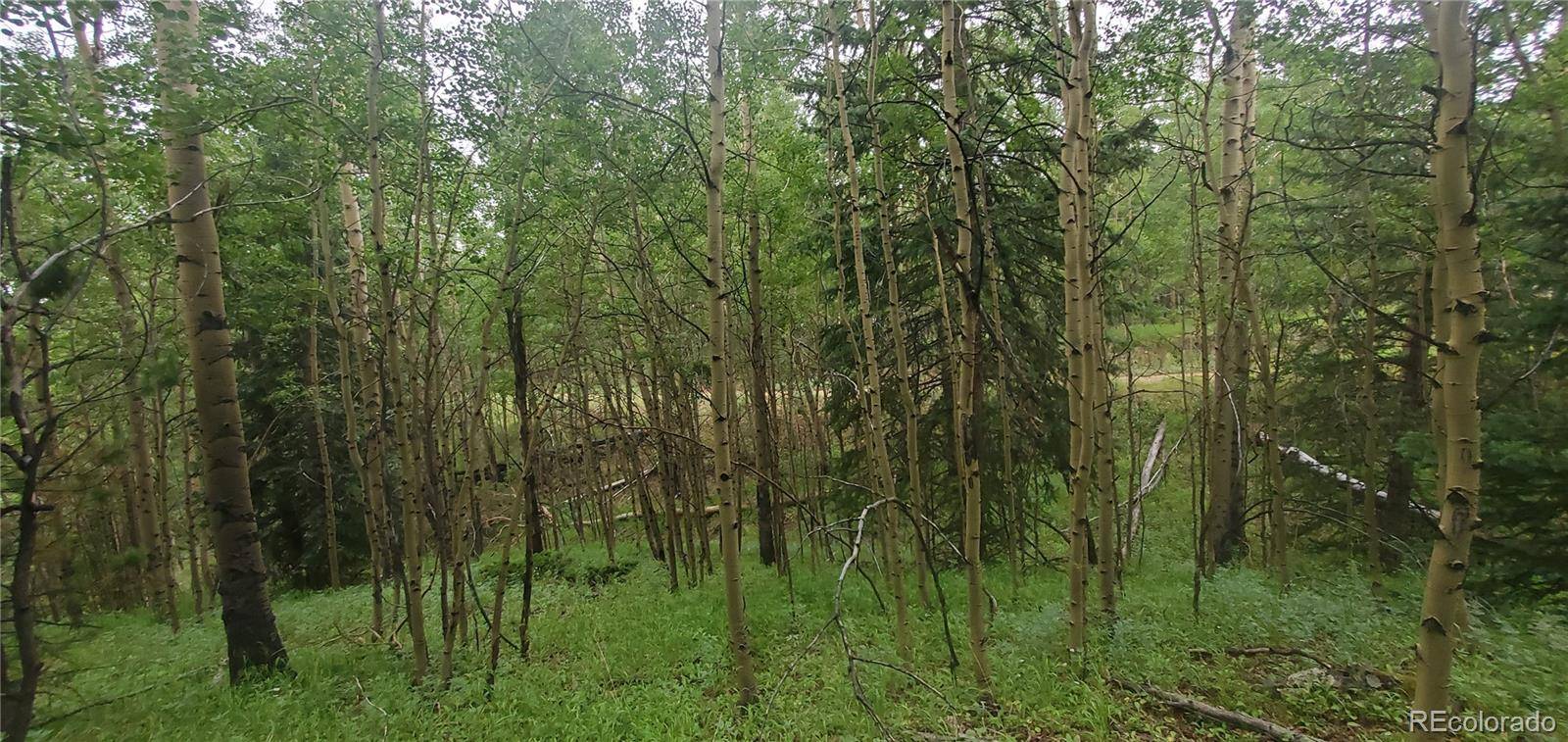 Lot 6882 Donna RD, Fort Garland, CO 81133