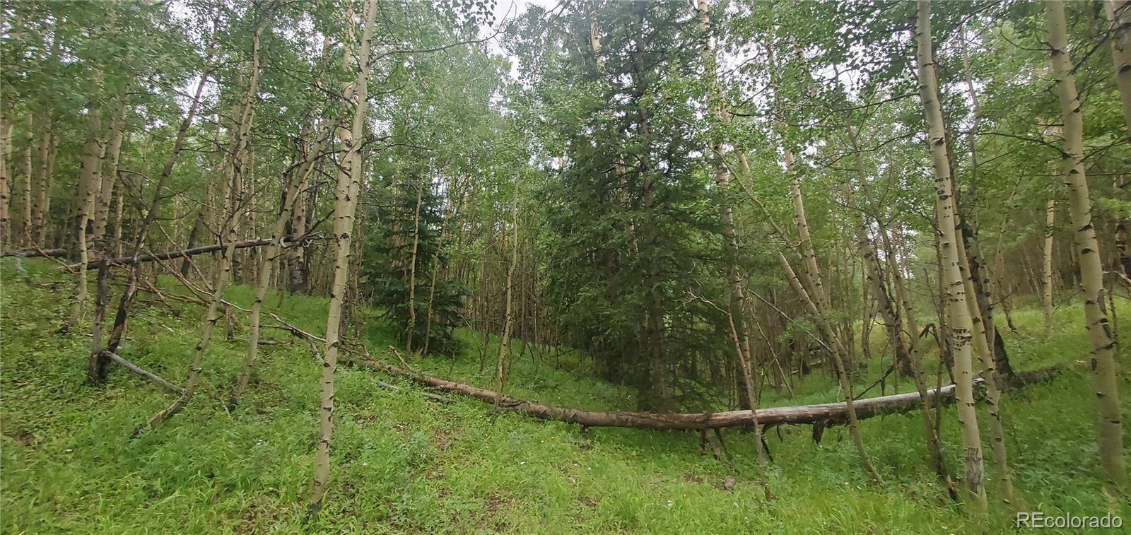 Lot 6882 Donna RD, Fort Garland, CO 81133