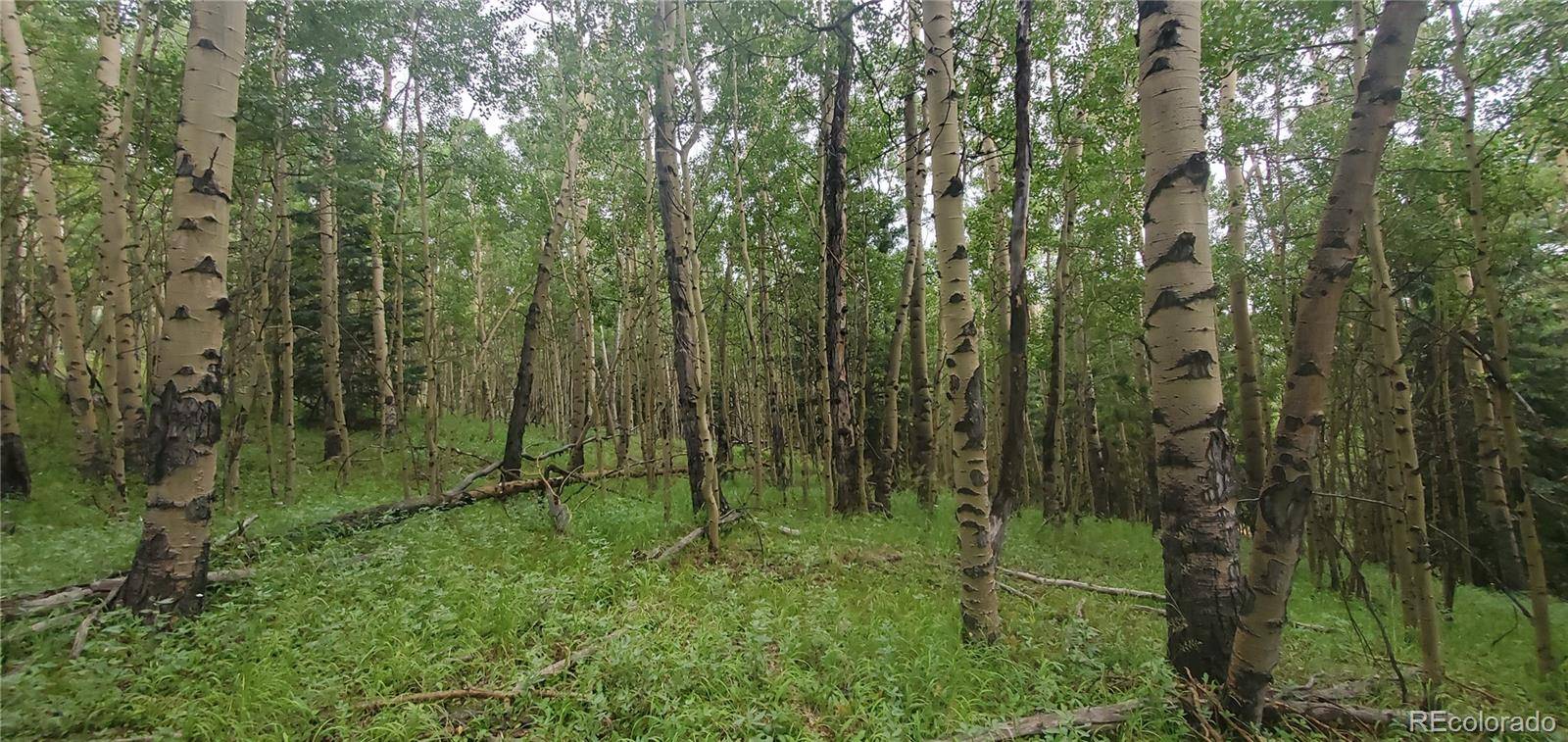 Lot 6882 Donna RD, Fort Garland, CO 81133