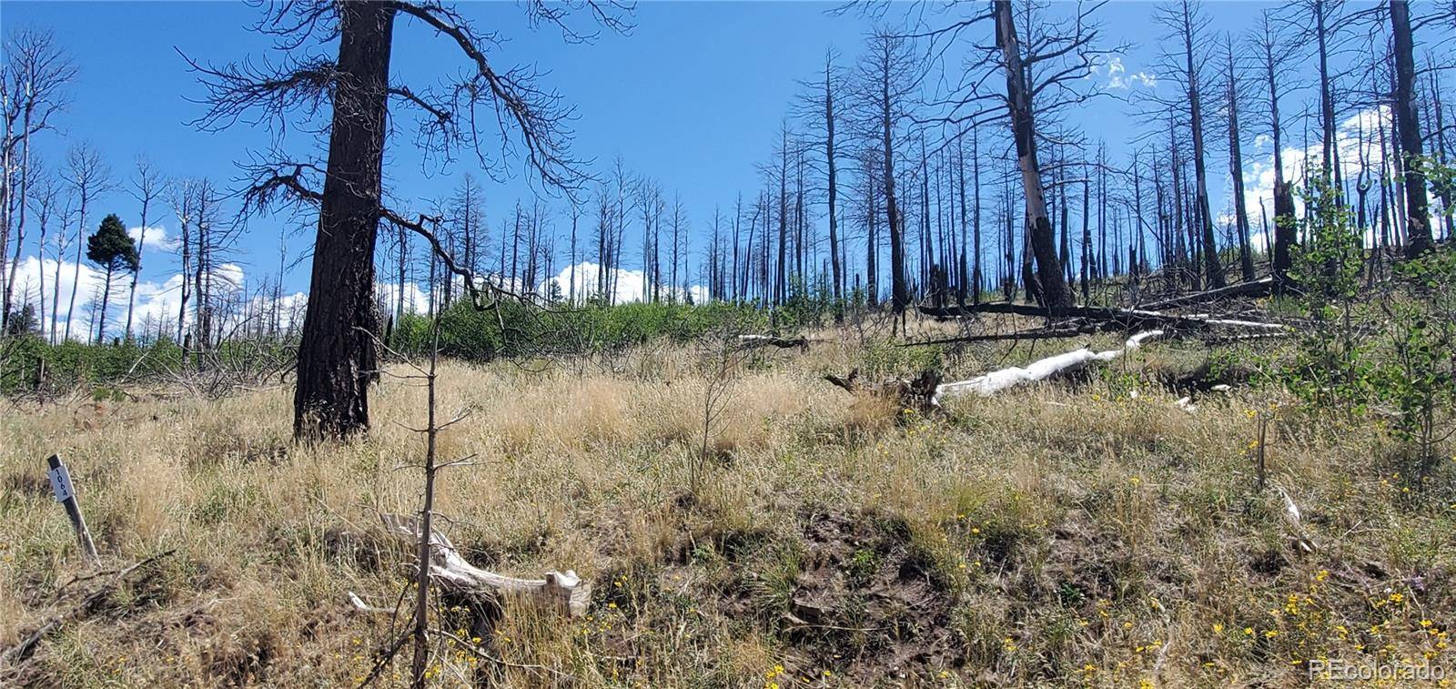 Lot 1064 Reed LN, Fort Garland, CO 81133