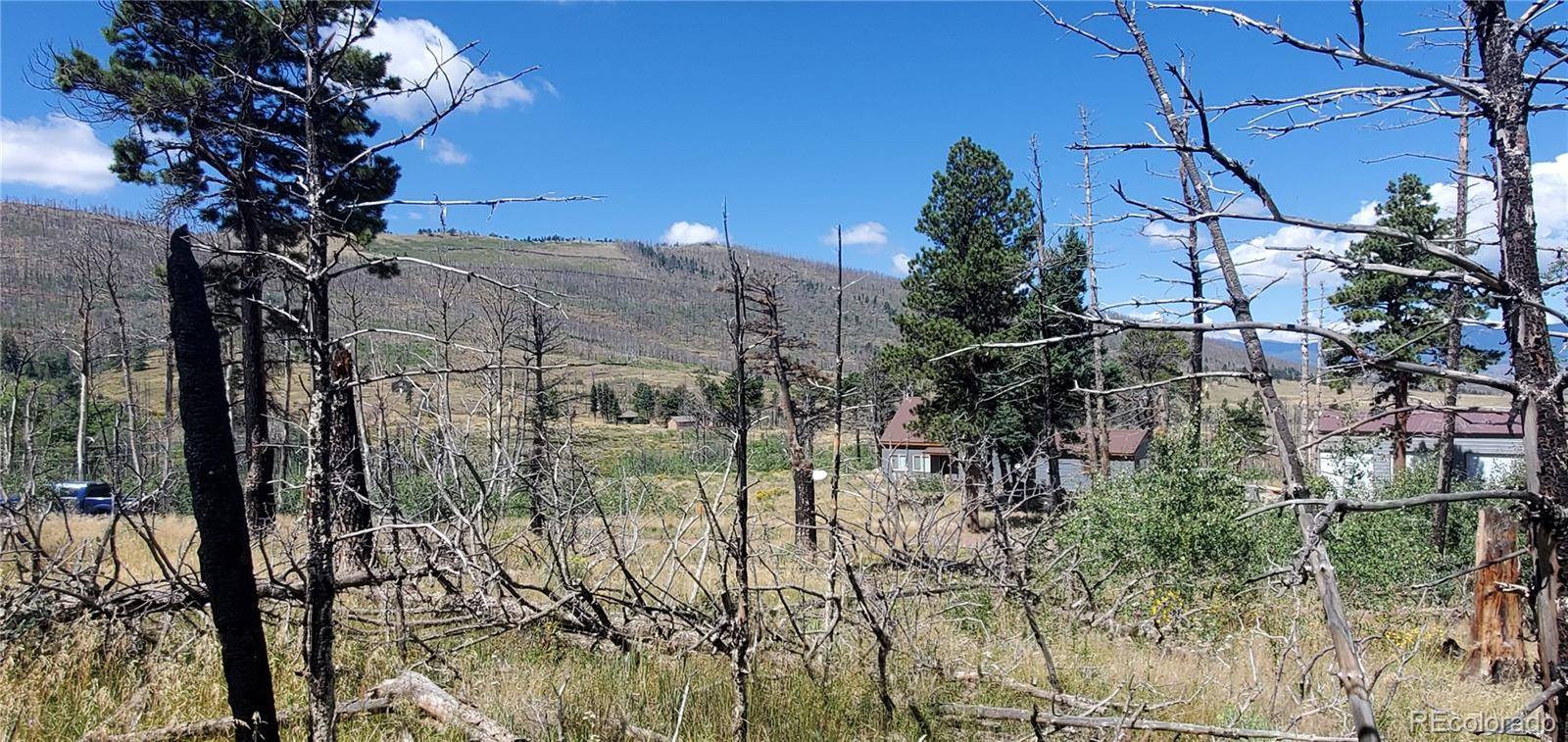 Lot 1064 Reed LN, Fort Garland, CO 81133