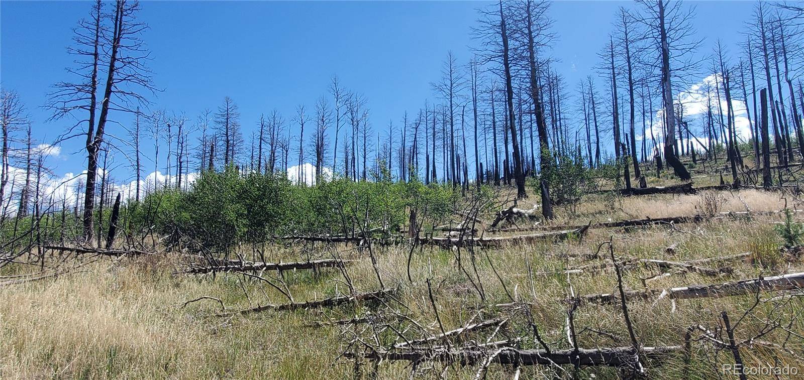 Lot 1064 Reed LN, Fort Garland, CO 81133