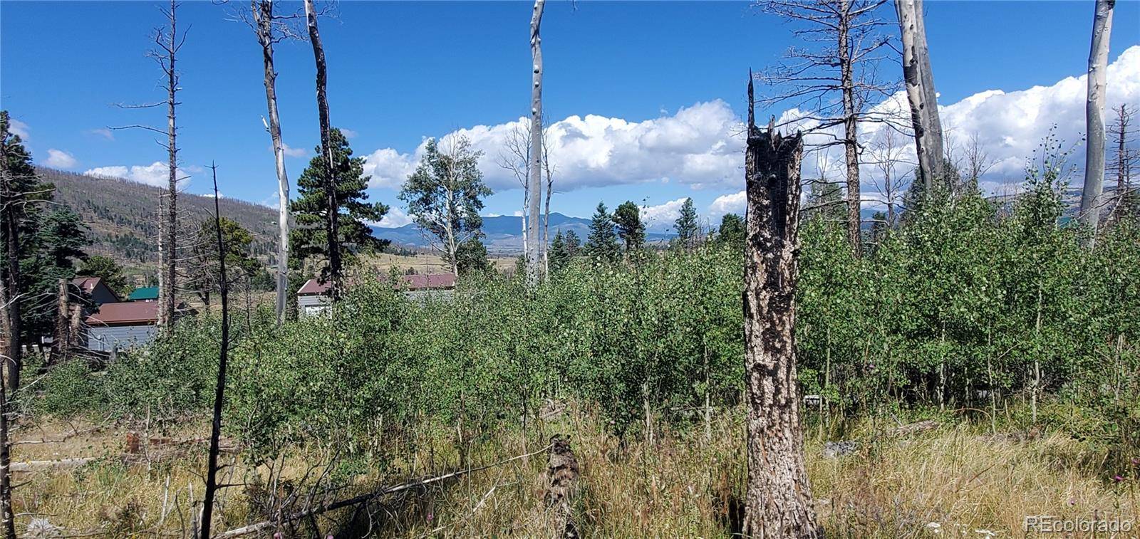 Lot 1064 Reed LN, Fort Garland, CO 81133