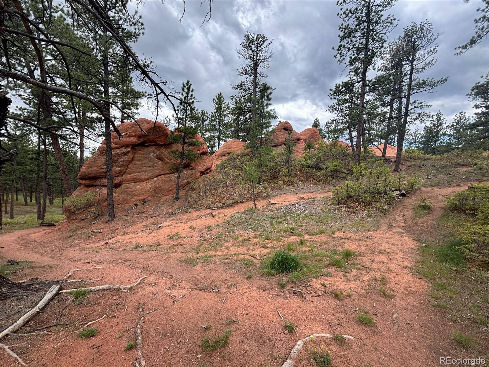 4356 Elati RD, Larkspur, CO 80118