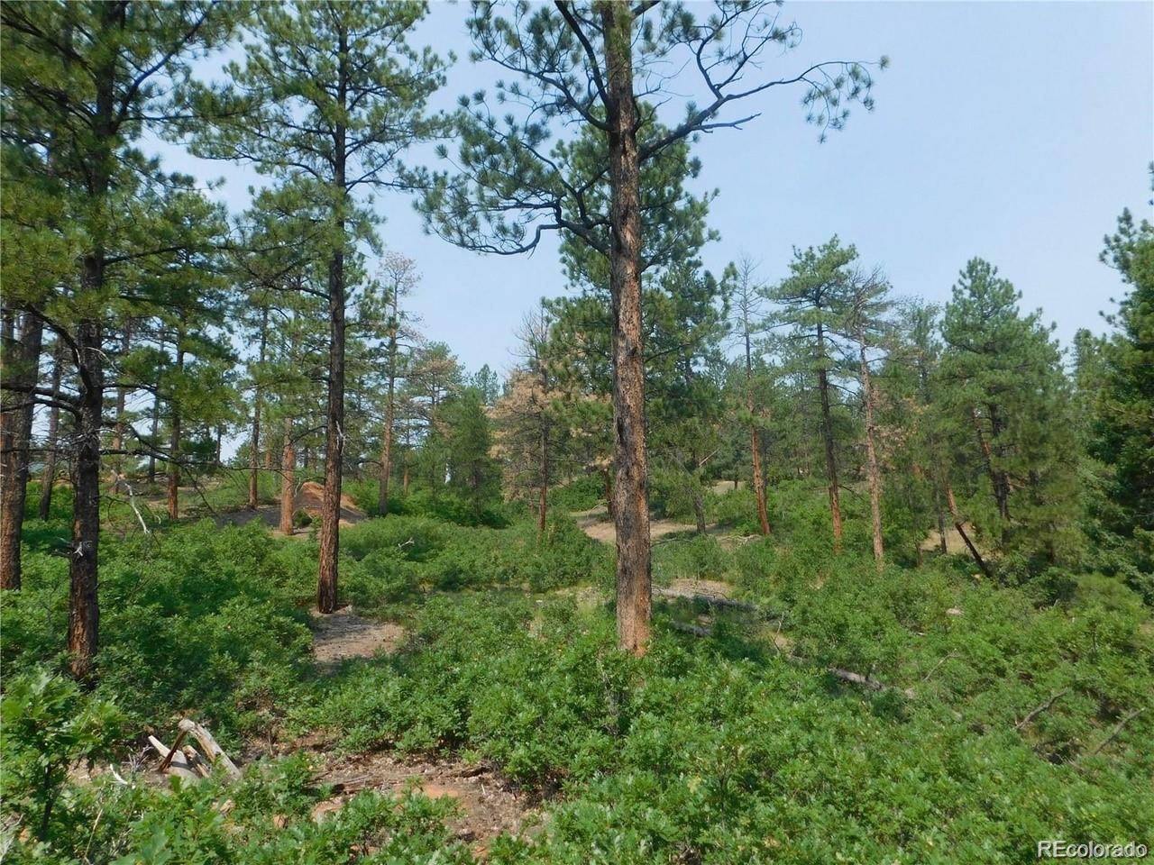 4356 Elati RD, Larkspur, CO 80118