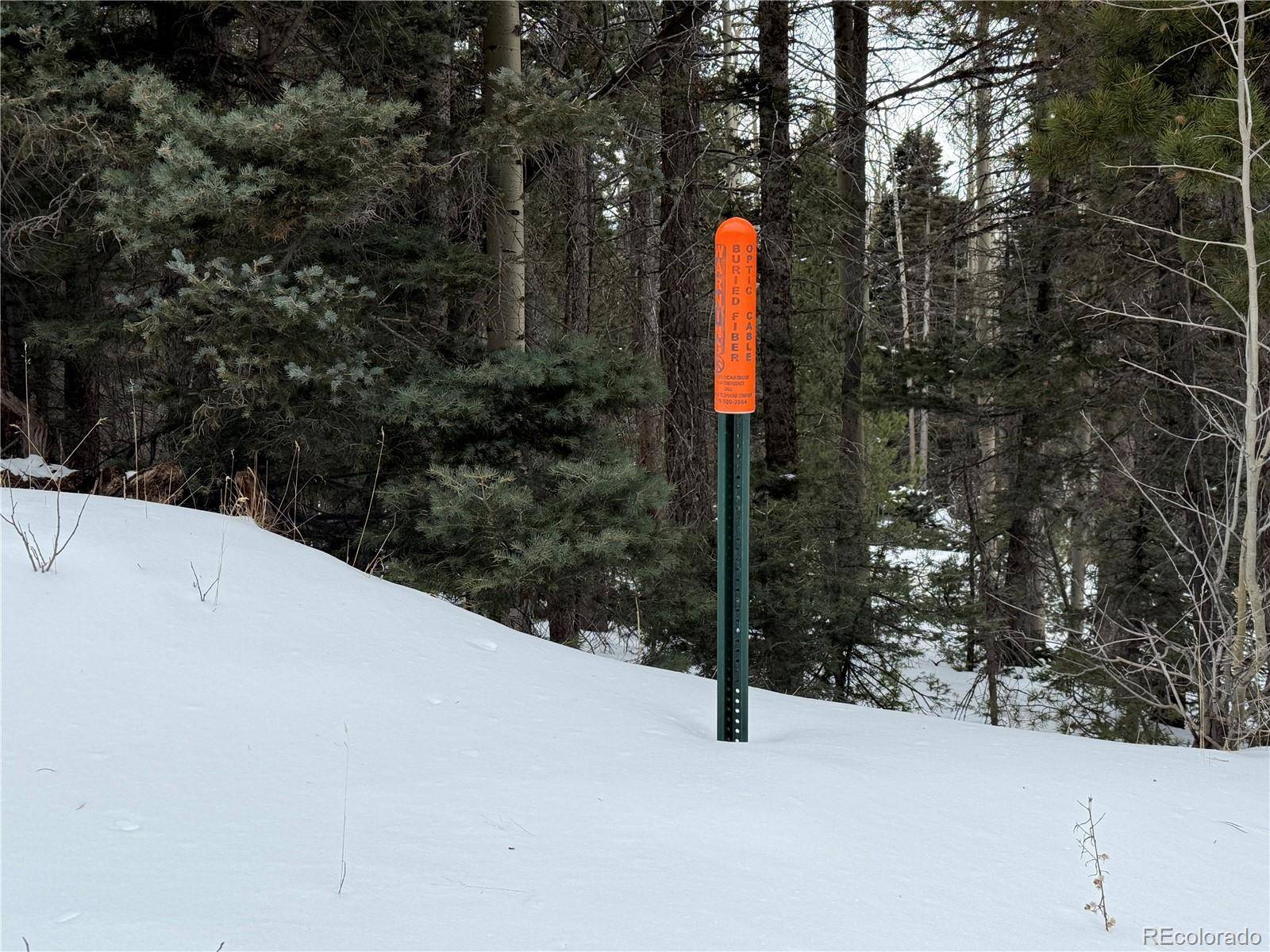 Lot 2806 Moir DR, Fort Garland, CO 81133