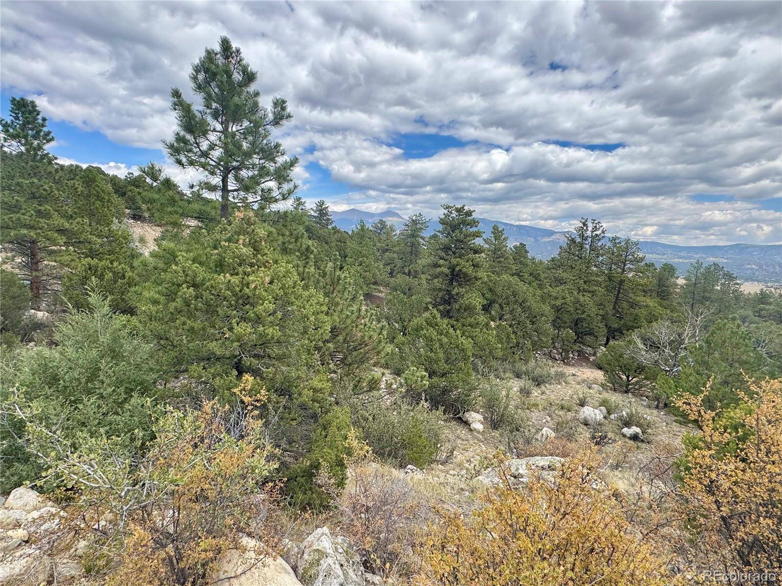 30110 Princeton HLS, Buena Vista, CO 81211