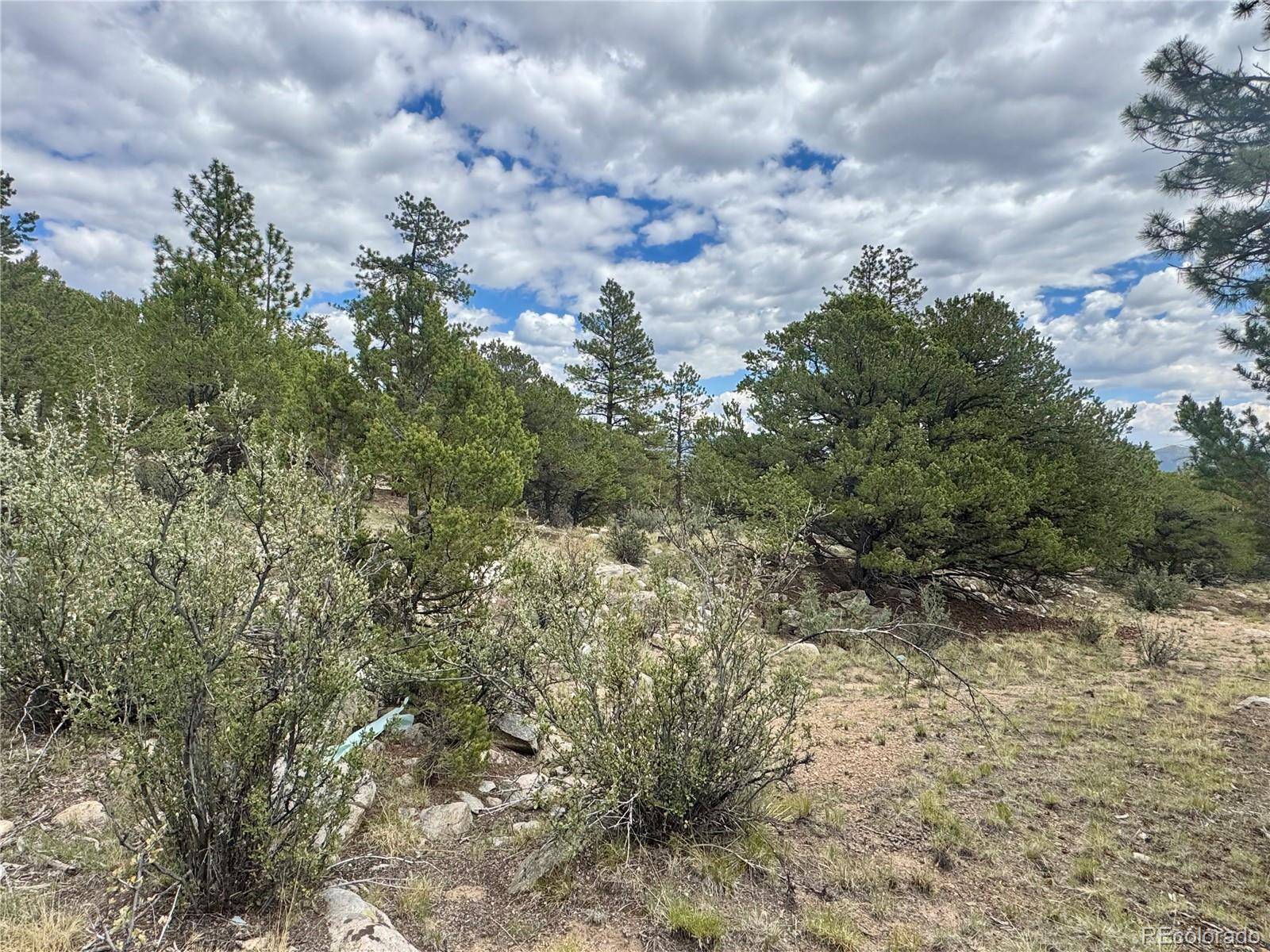 30110 Princeton HLS, Buena Vista, CO 81211