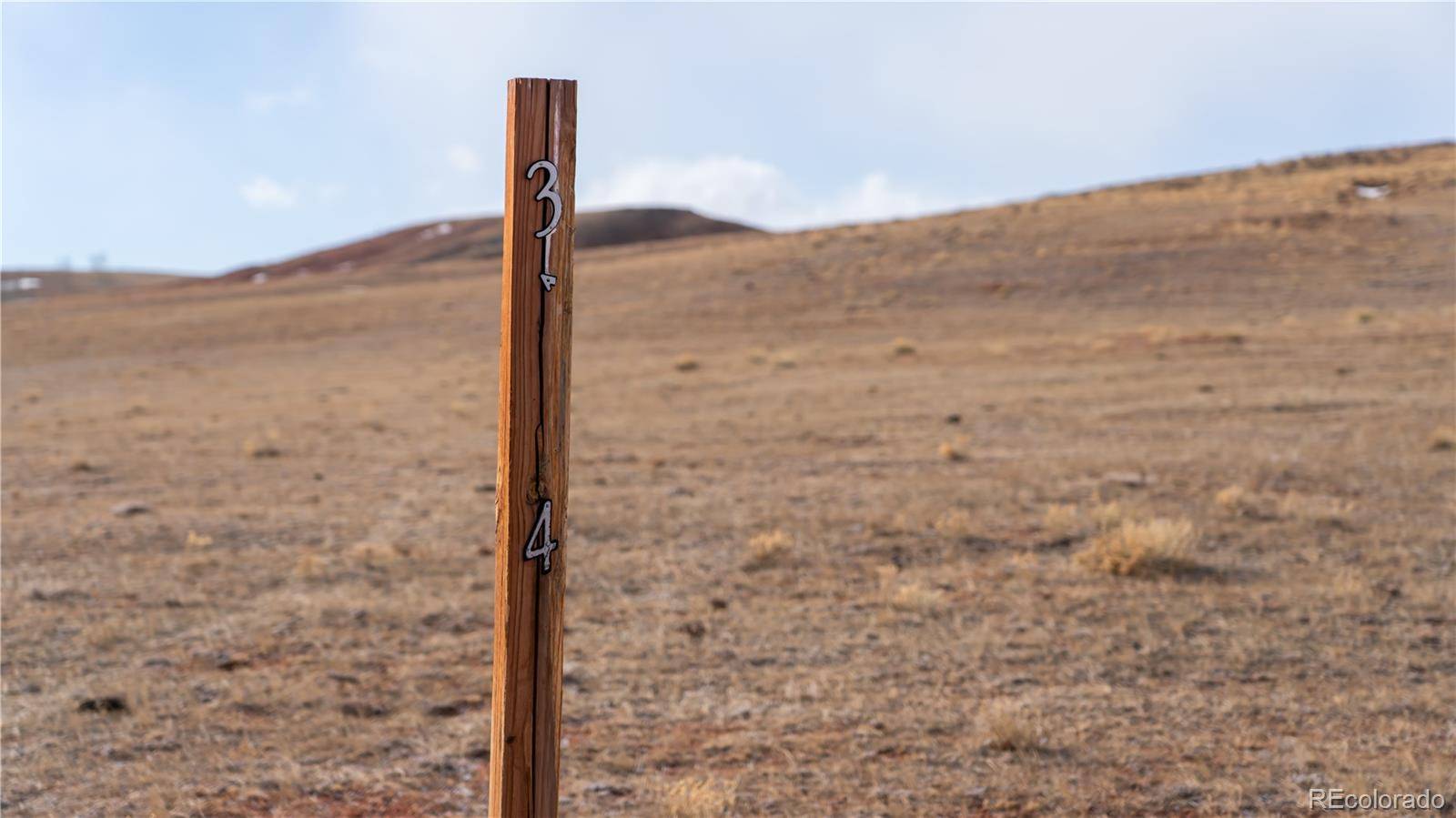 3164 Meier Ridge TRL, Fairplay, CO 80440