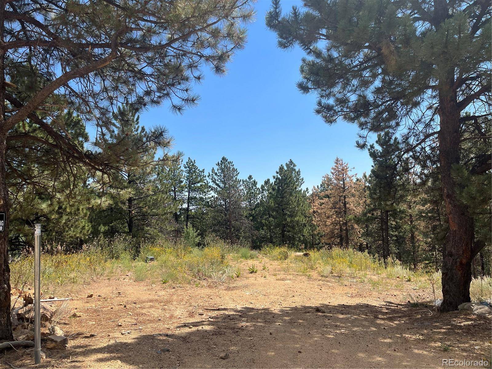 795 Russell Gulch RD, Central City, CO 80427