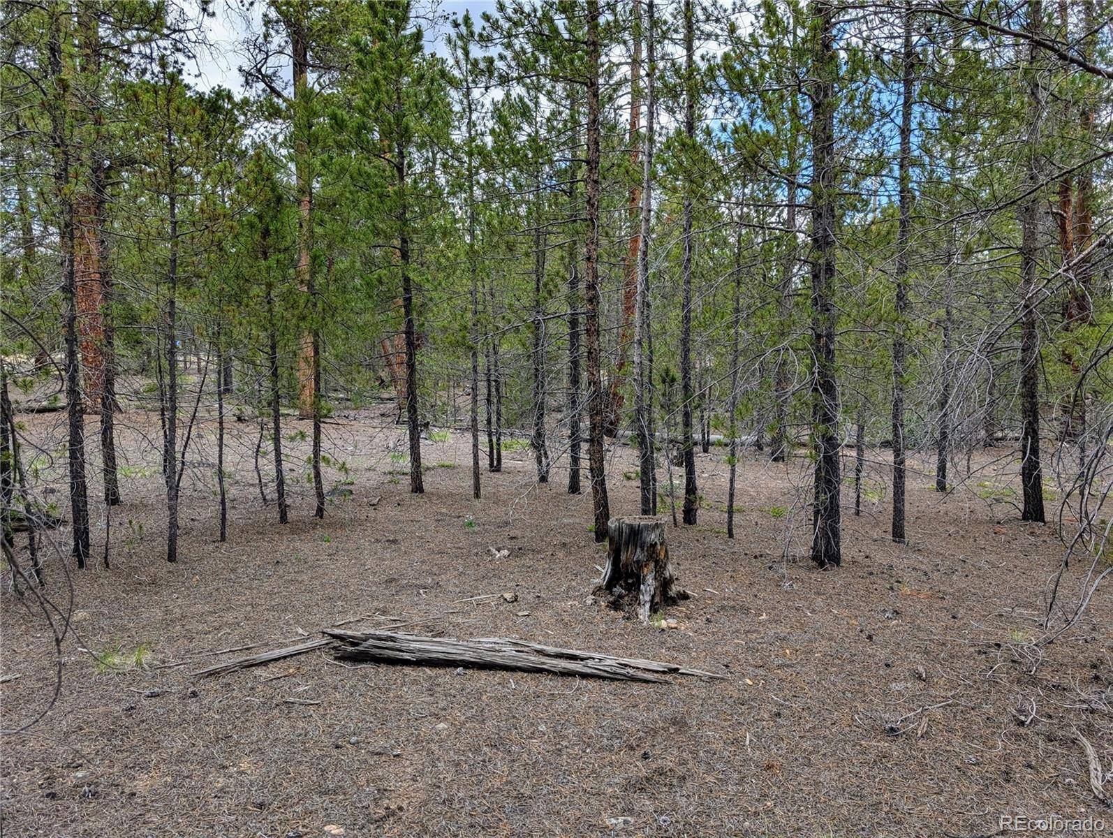 437 Juniper DR, Twin Lakes, CO 81251