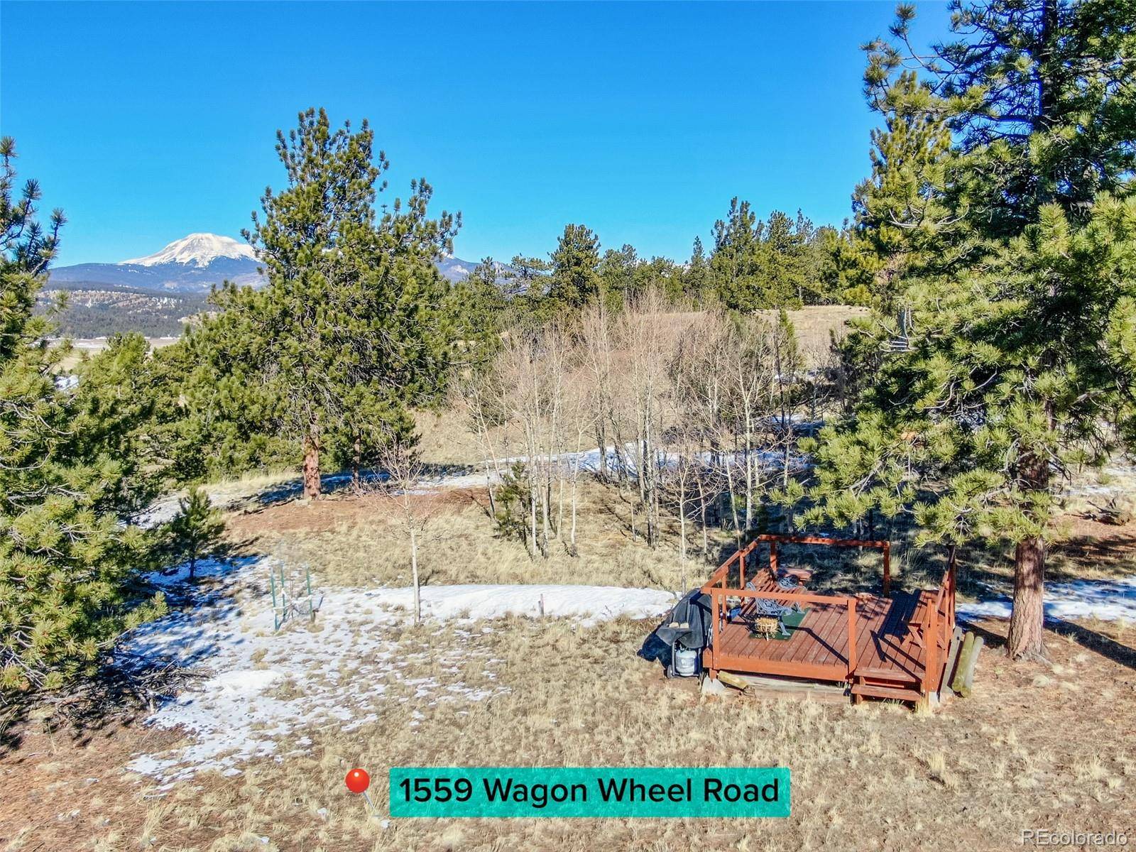 1559 Wagon Wheel RD, Hartsel, CO 80449
