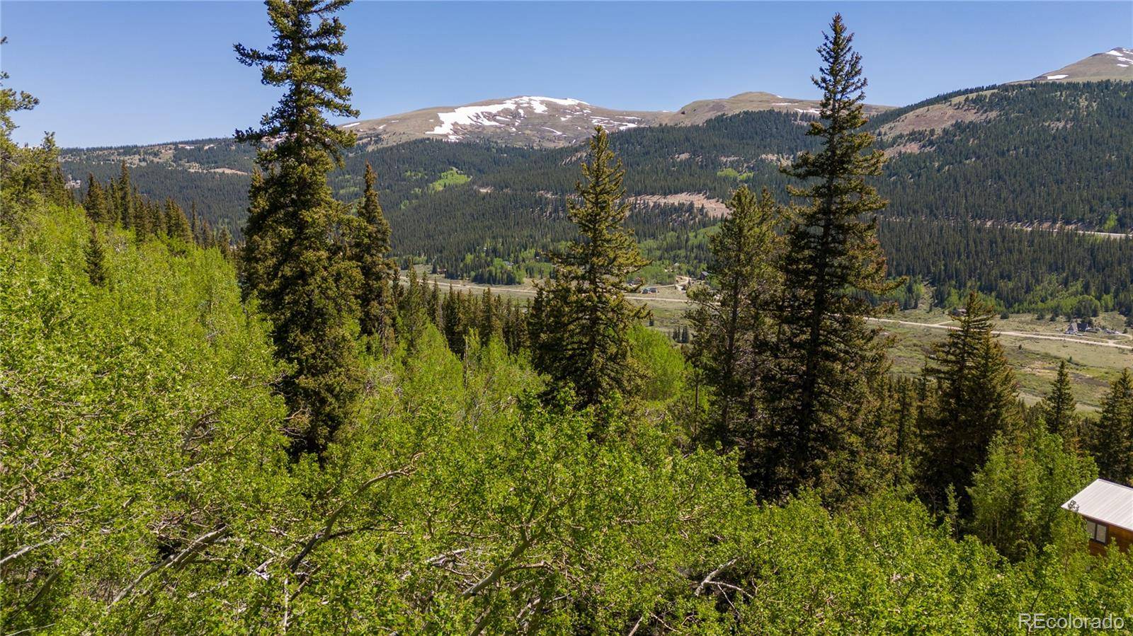 1255 Quartzville RD, Fairplay, CO 80440