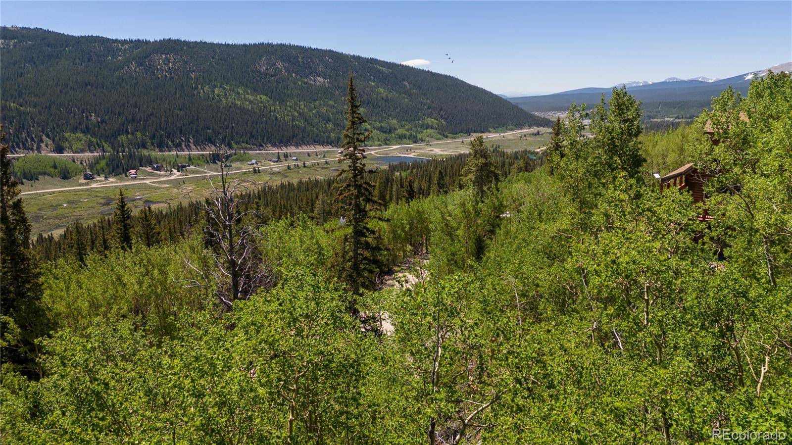 1255 Quartzville RD, Fairplay, CO 80440