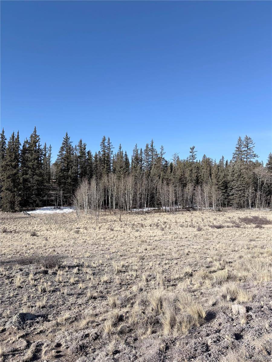 50 Rawhide WAY, Jefferson, CO 80456
