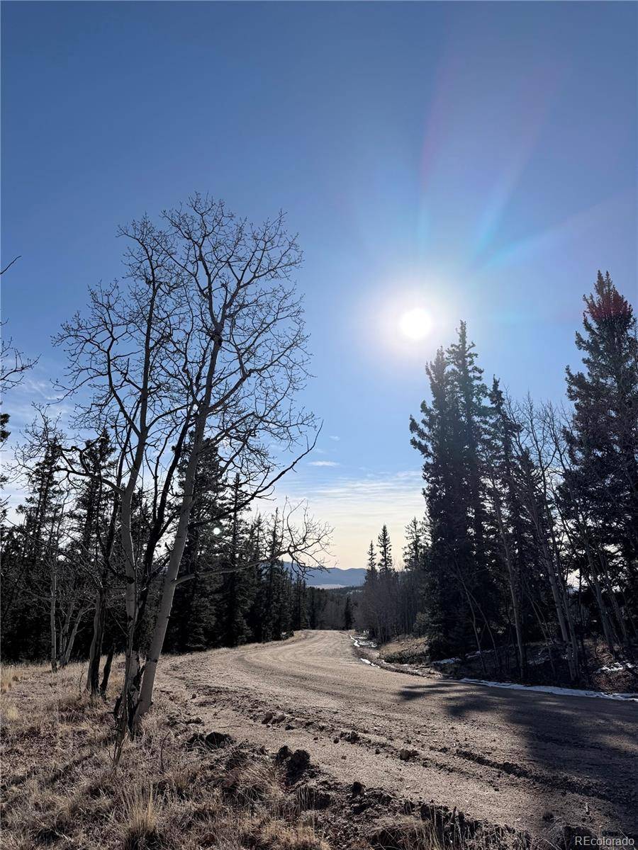 50 Rawhide WAY, Jefferson, CO 80456