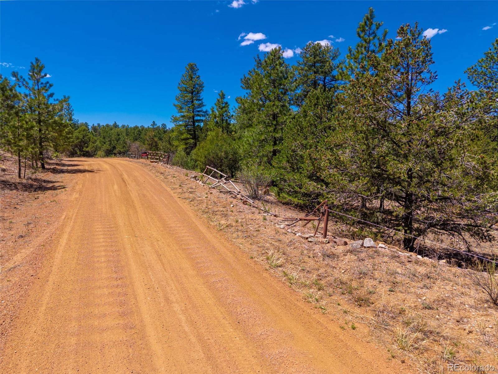 265 Alden LN, Cotopaxi, CO 81223