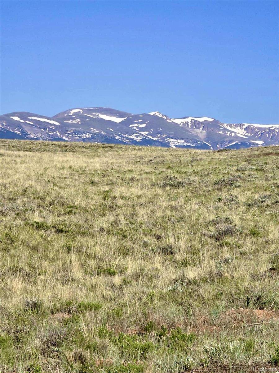 parrot DR, Alamosa, CO 81101