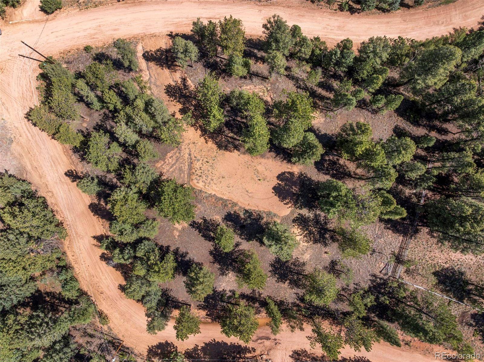 210 Donzi TRL, Florissant, CO 80816