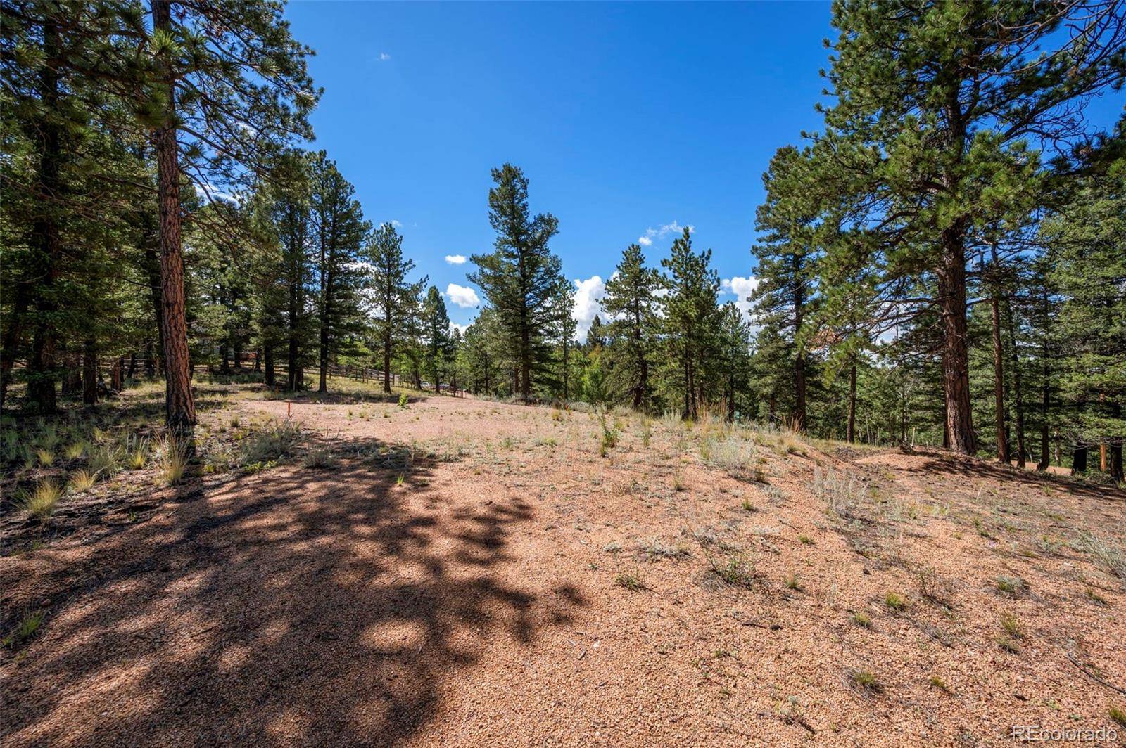 210 Donzi TRL, Florissant, CO 80816
