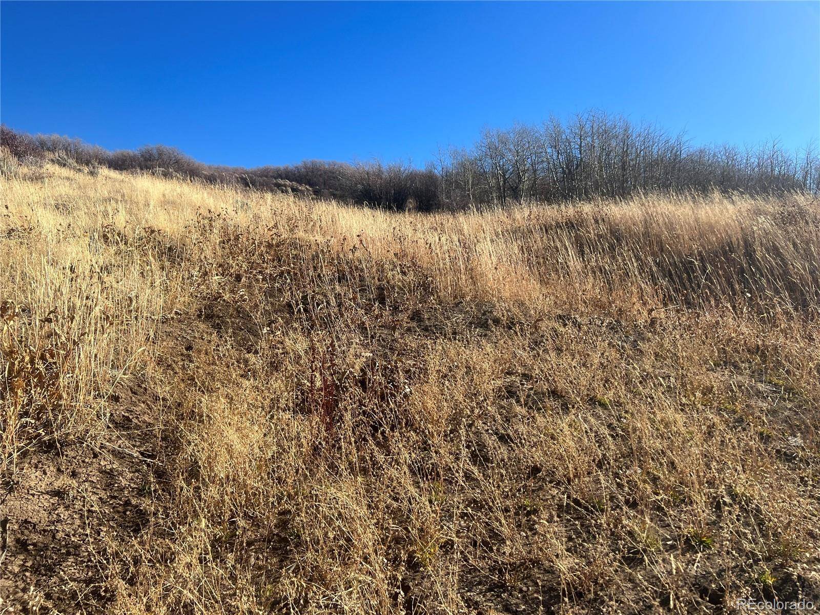 544 Timberlane LOOP, Craig, CO 81625