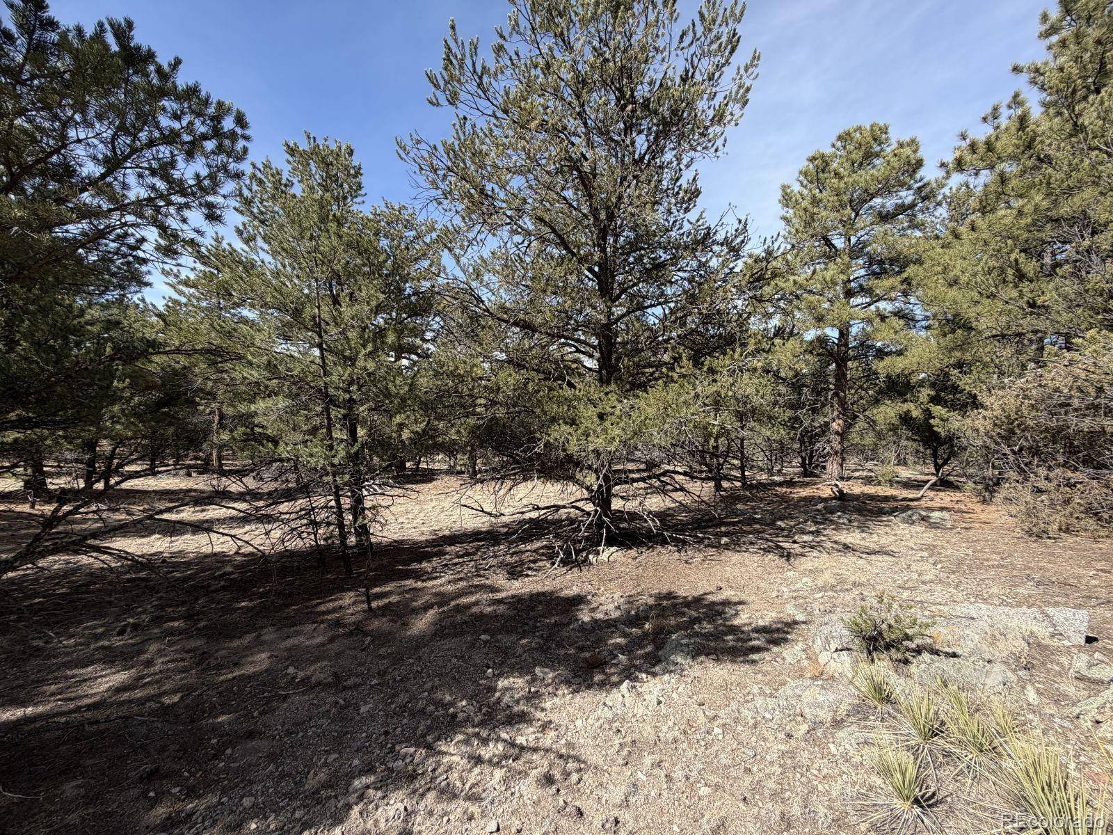 262 Harmon DR, Cotopaxi, CO 81223