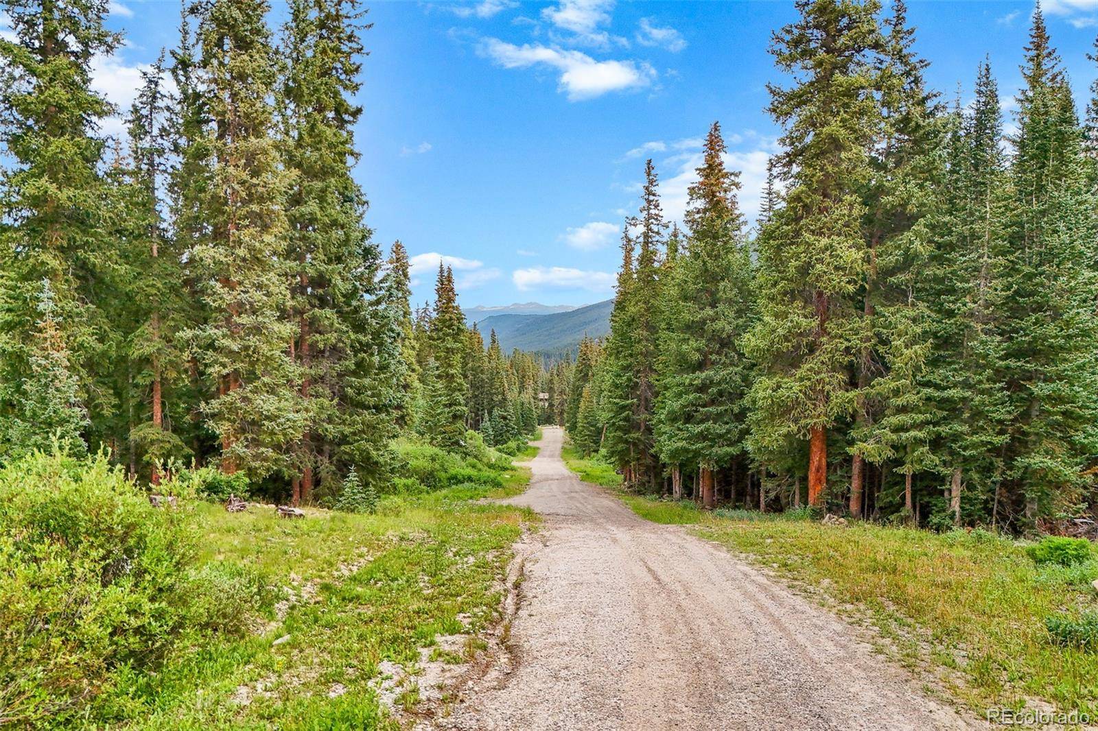 0057 County Road 675, Breckenridge, CO 80424