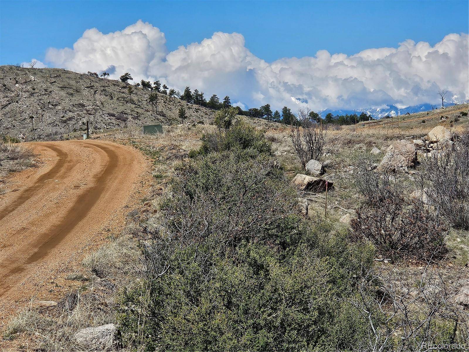 839 SHANNON TRL, Cotopaxi, CO 81223