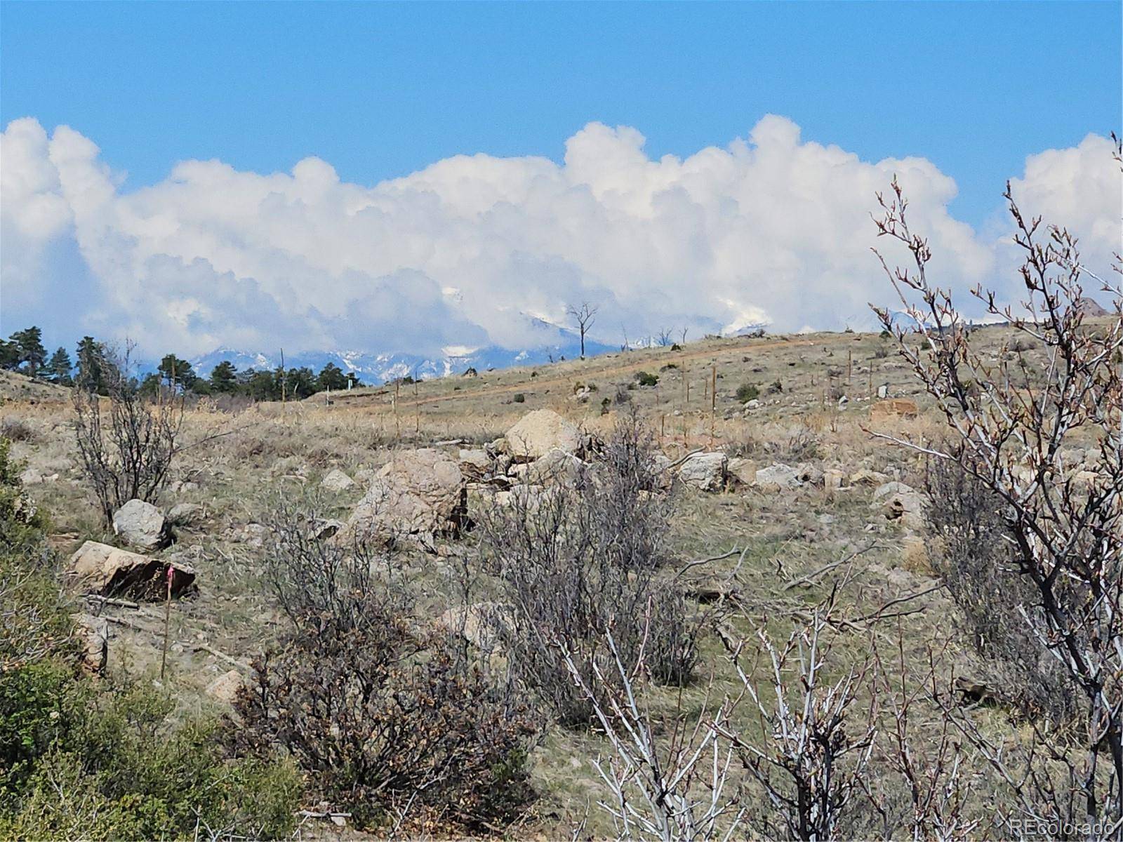839 SHANNON TRL, Cotopaxi, CO 81223