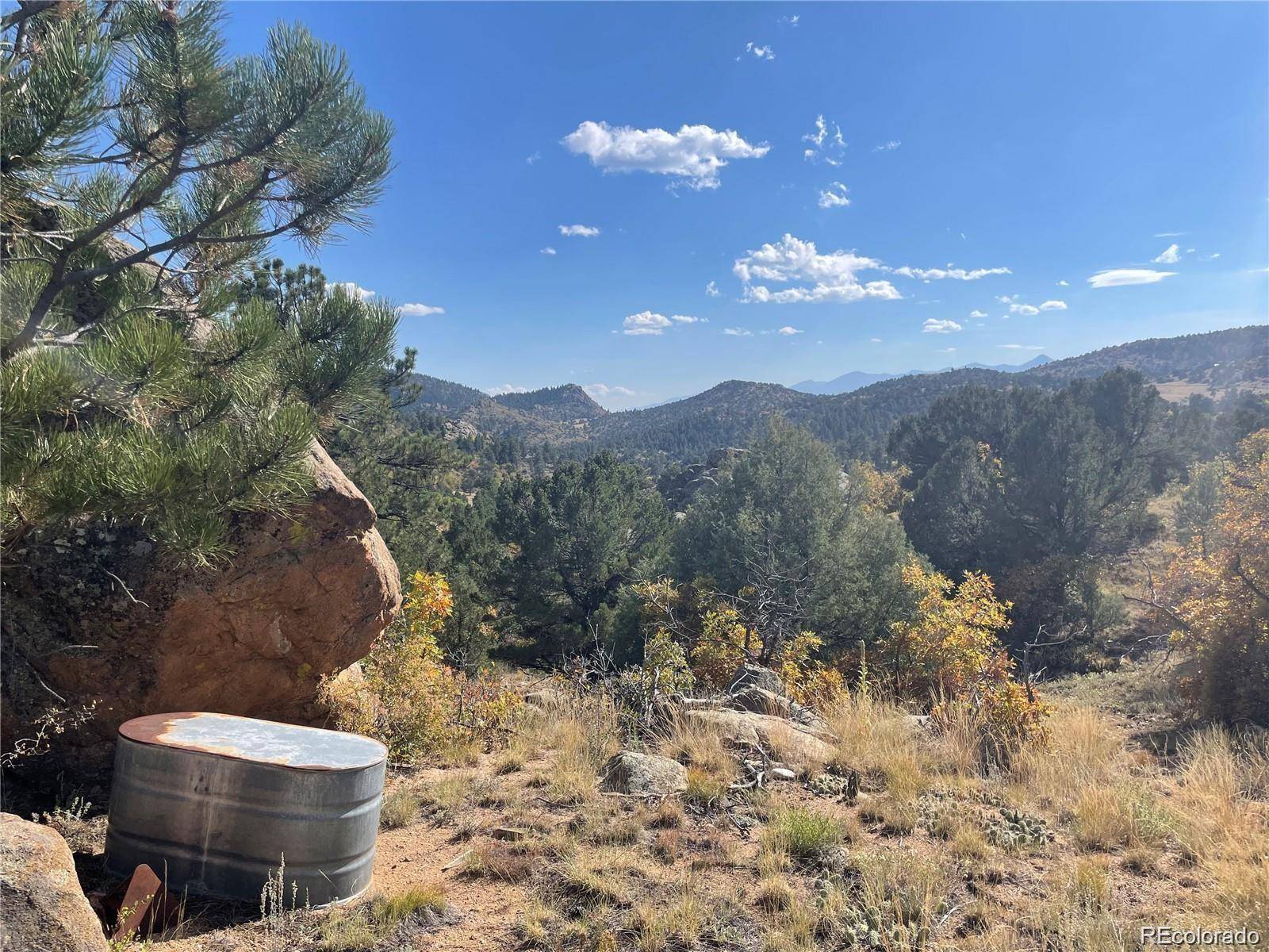 1810 Bird Point DR, Cotopaxi, CO 81223