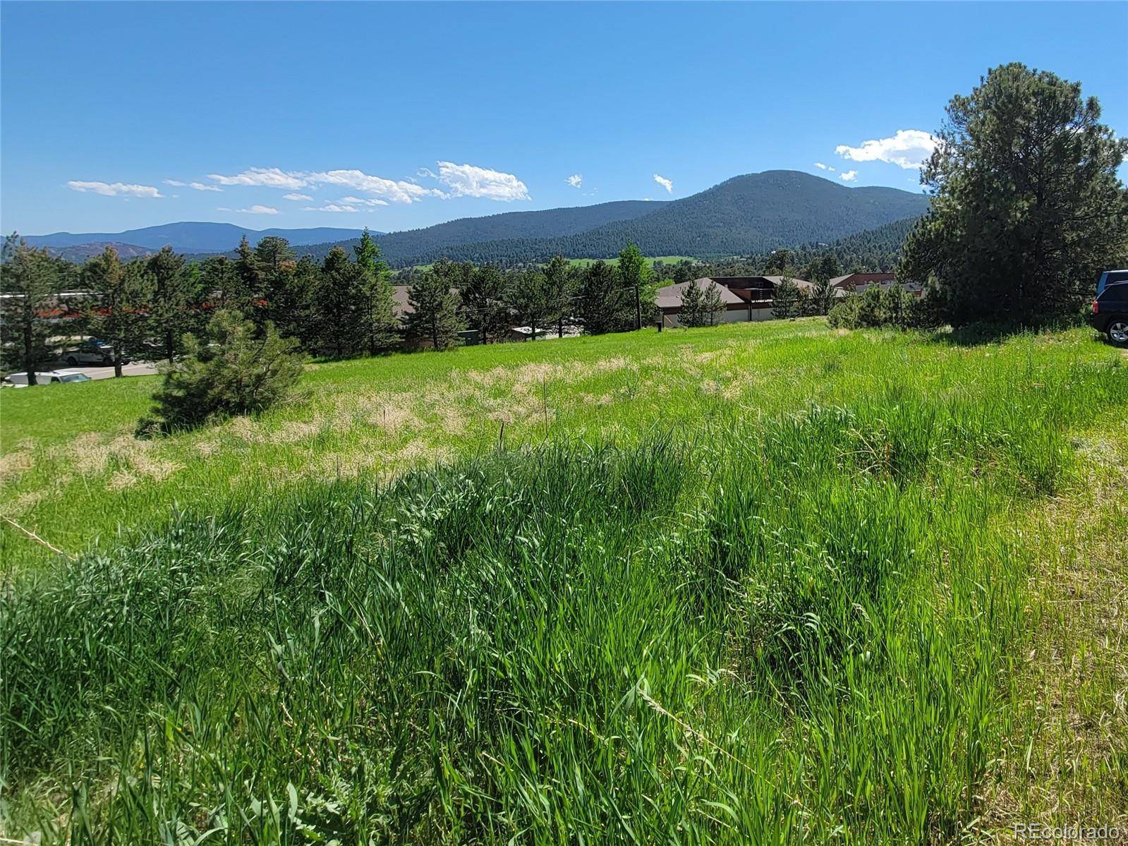 31720 Rocky Village DR, Evergreen, CO 80439