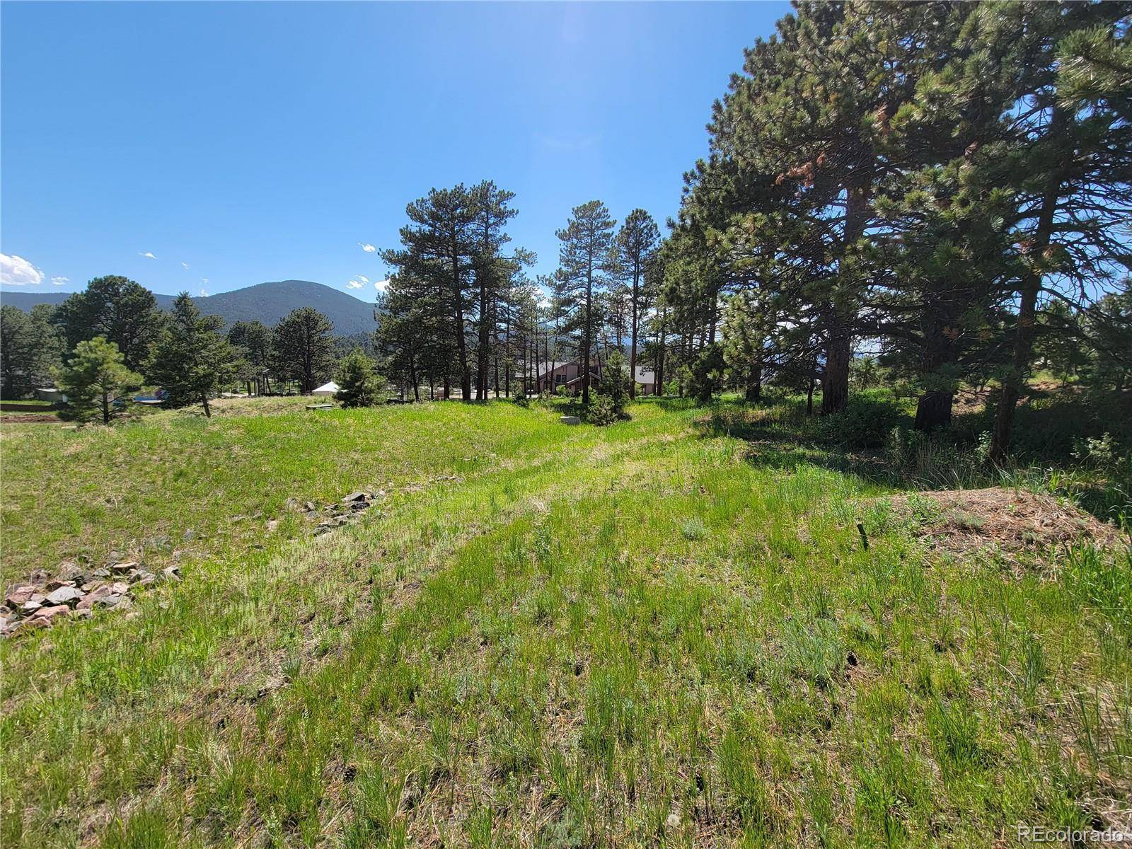 31720 Rocky Village DR, Evergreen, CO 80439