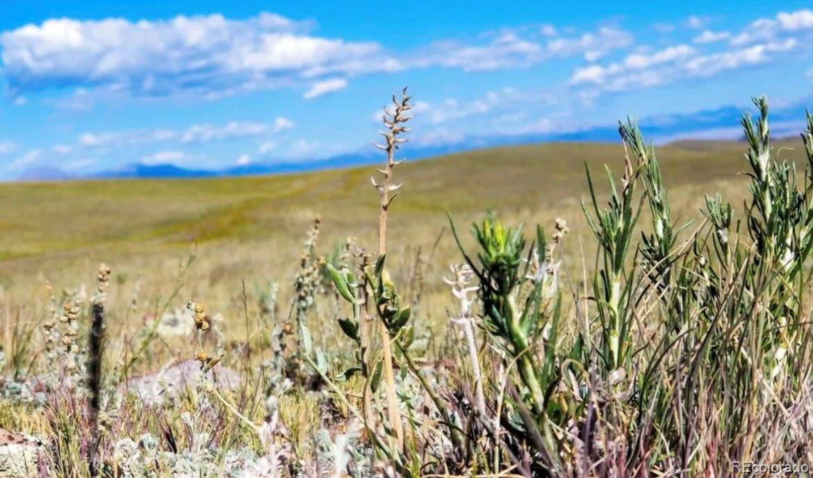 1804 Santee TRL, Guffey, CO 80820