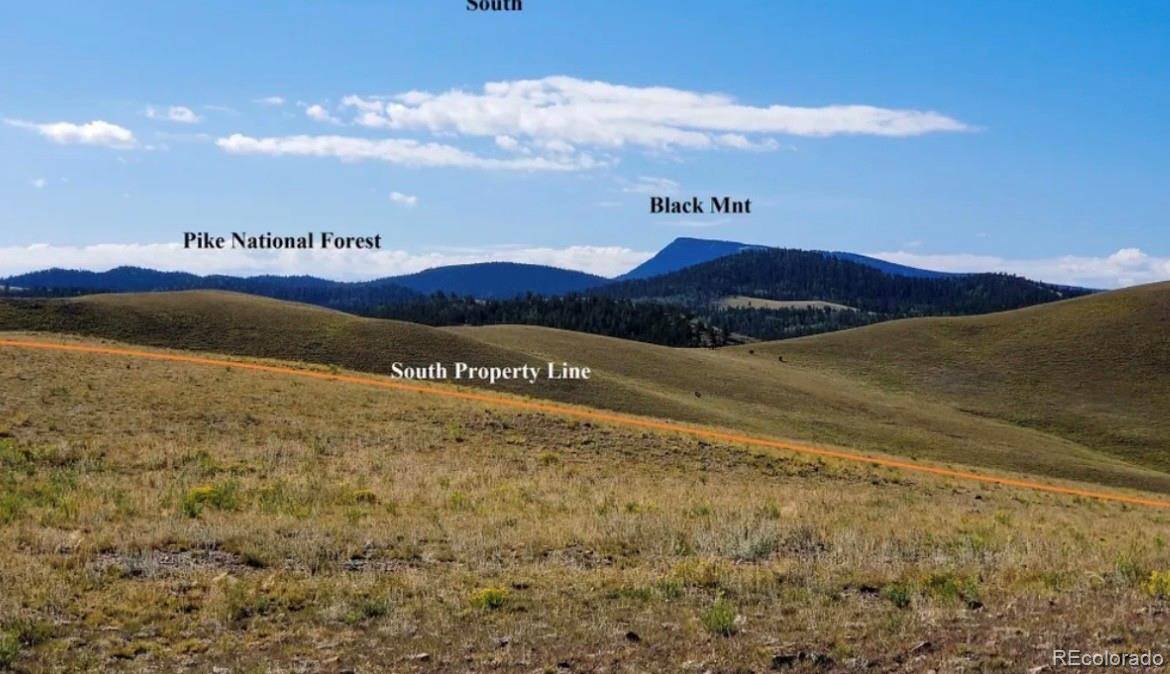 1804 Santee TRL, Guffey, CO 80820