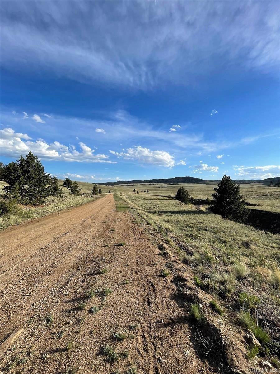 691 Cathy DR, Hartsel, CO 80449