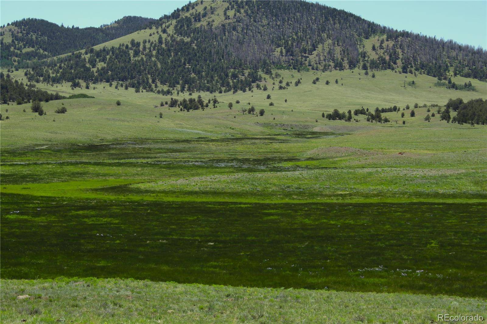 Hwy 9, Guffey, CO 80820