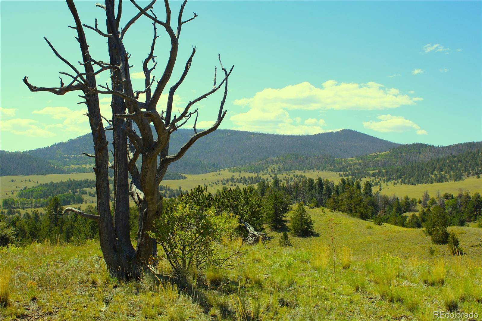 Hwy 9, Guffey, CO 80820