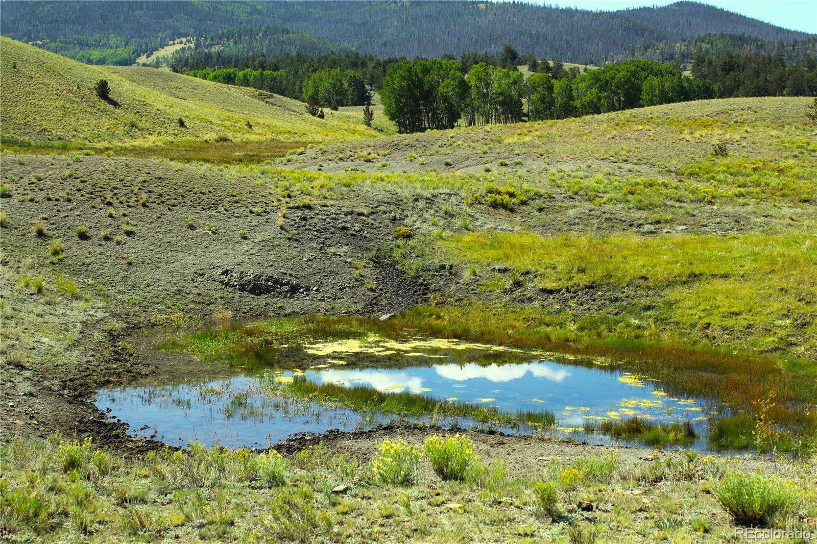 Hwy 9, Guffey, CO 80820