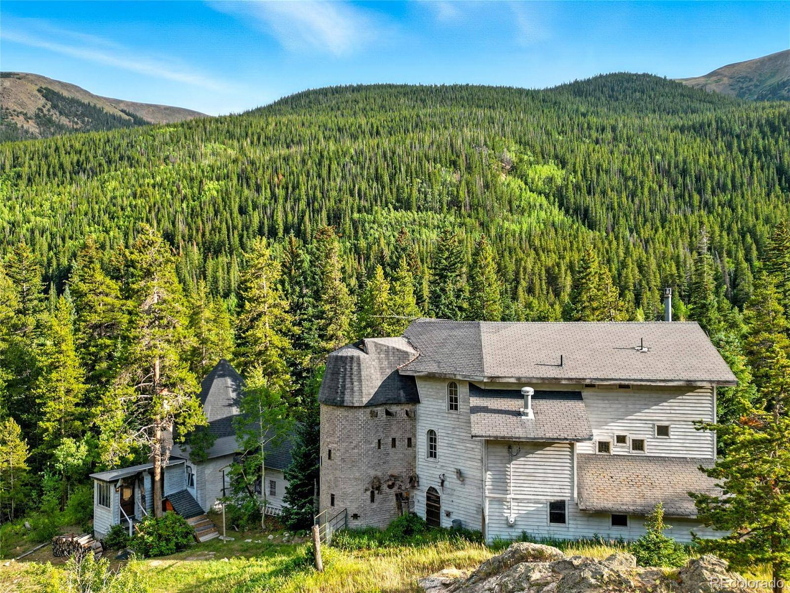 1493 Silver Valley RD, Silver Plume, CO 80476