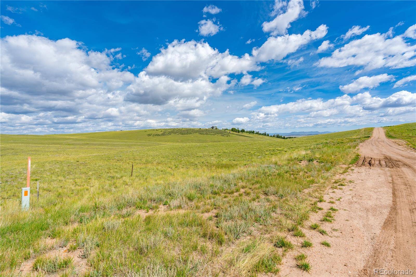 635 Hereford DR, Hartsel, CO 80449