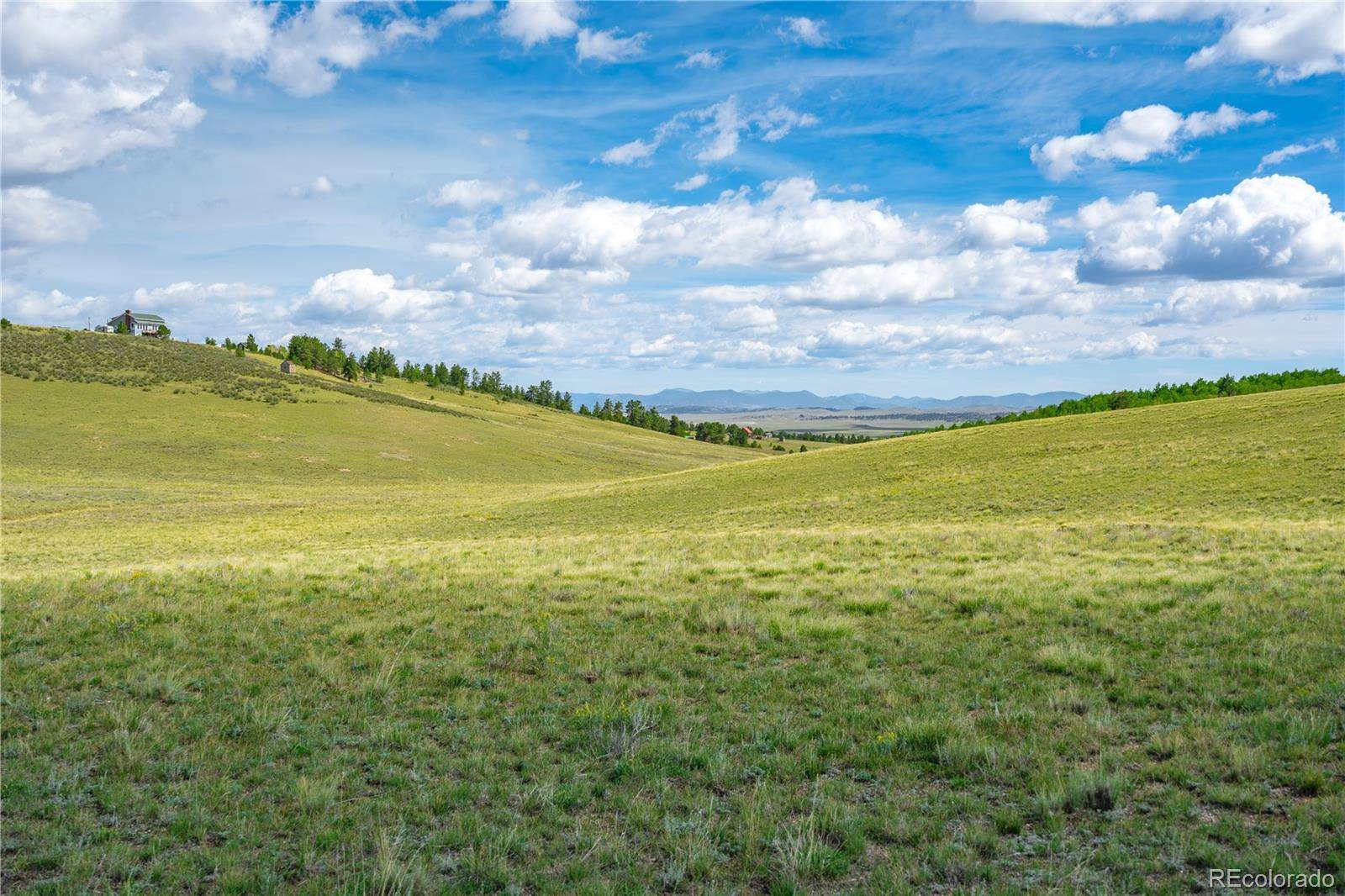 635 Hereford DR, Hartsel, CO 80449