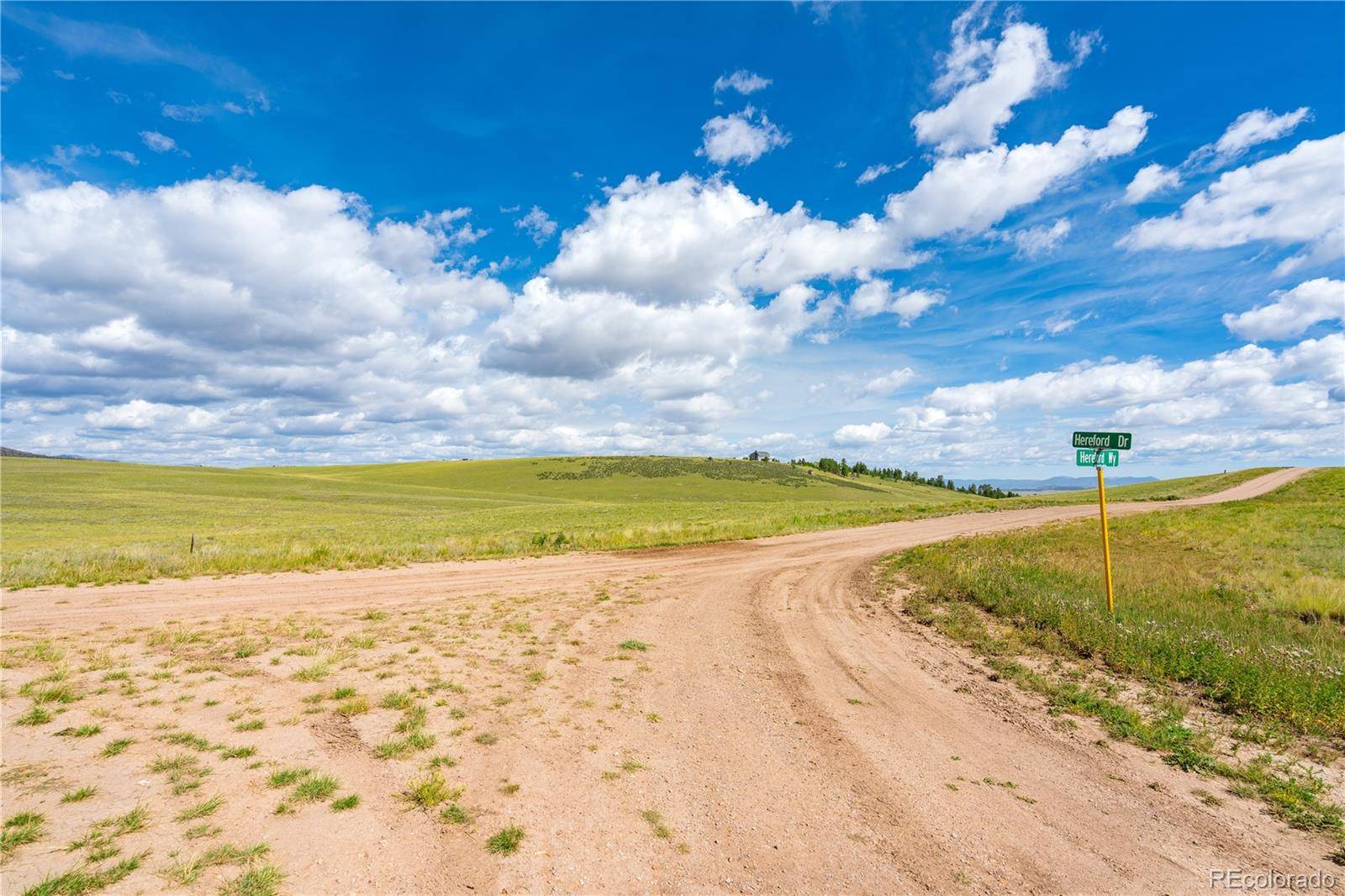 635 Hereford DR, Hartsel, CO 80449