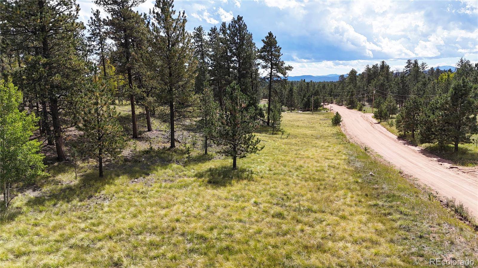 2265 Vagabond Creek DR, Lake George, CO 80827