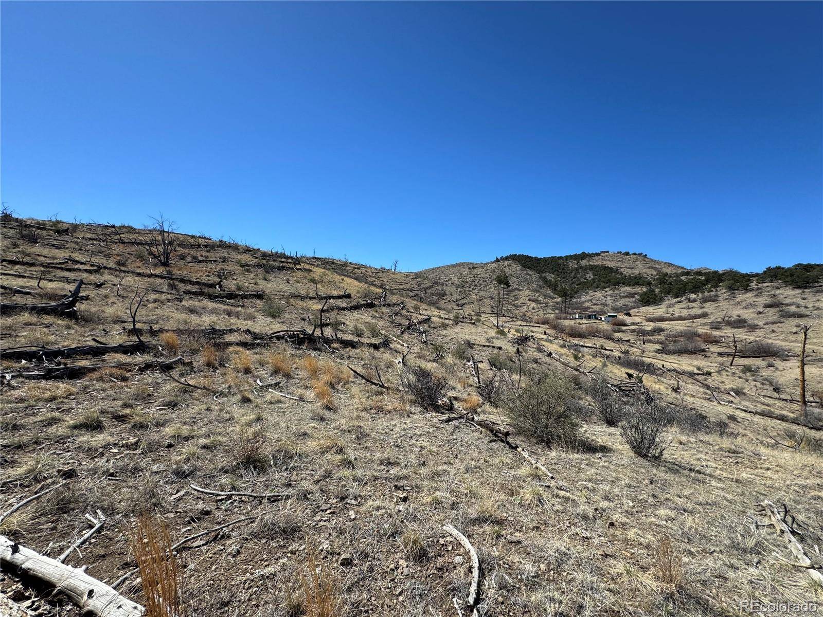 TBD 32nd F PATH, Cotopaxi, CO 81223