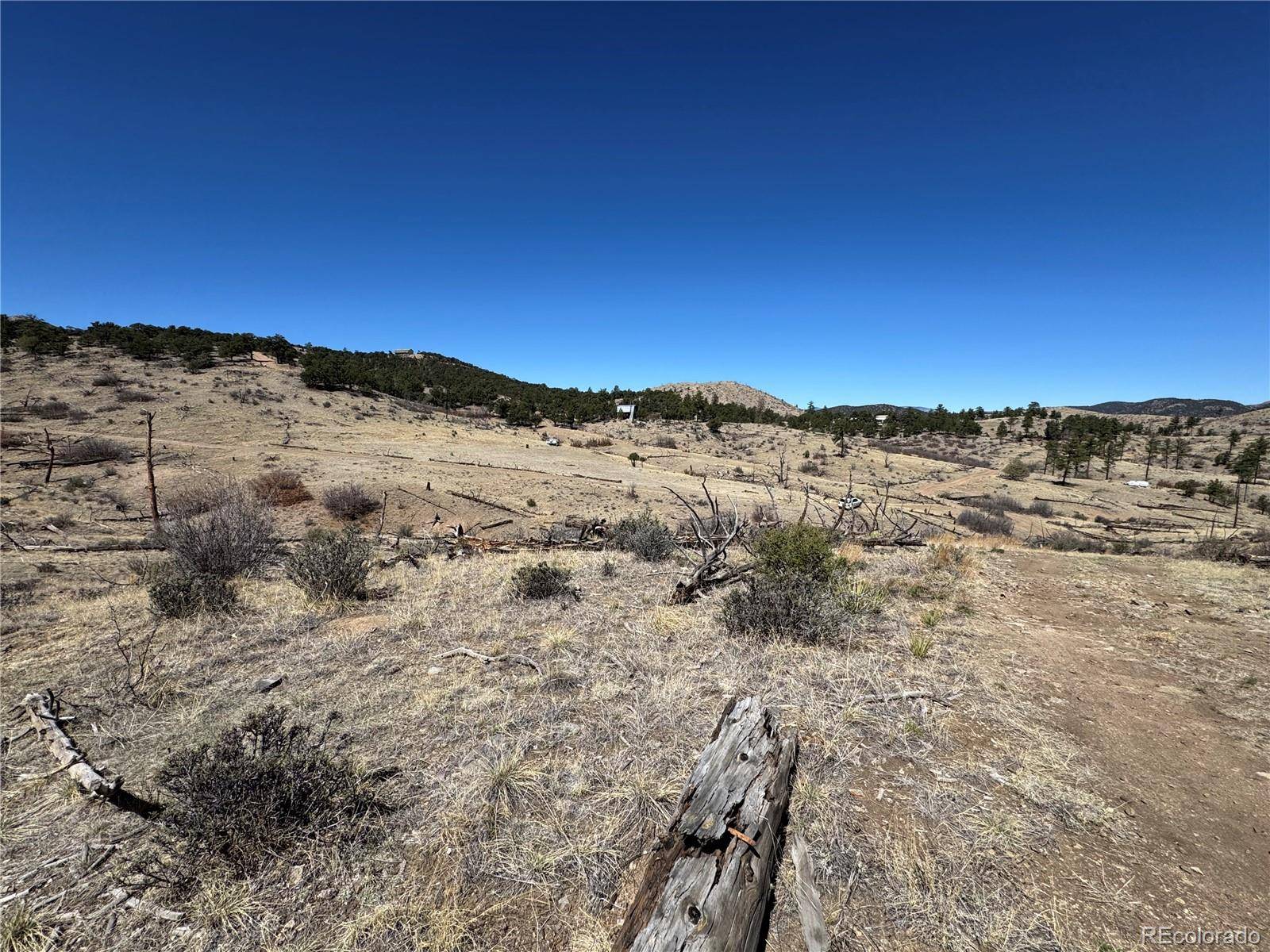 TBD 32nd F PATH, Cotopaxi, CO 81223