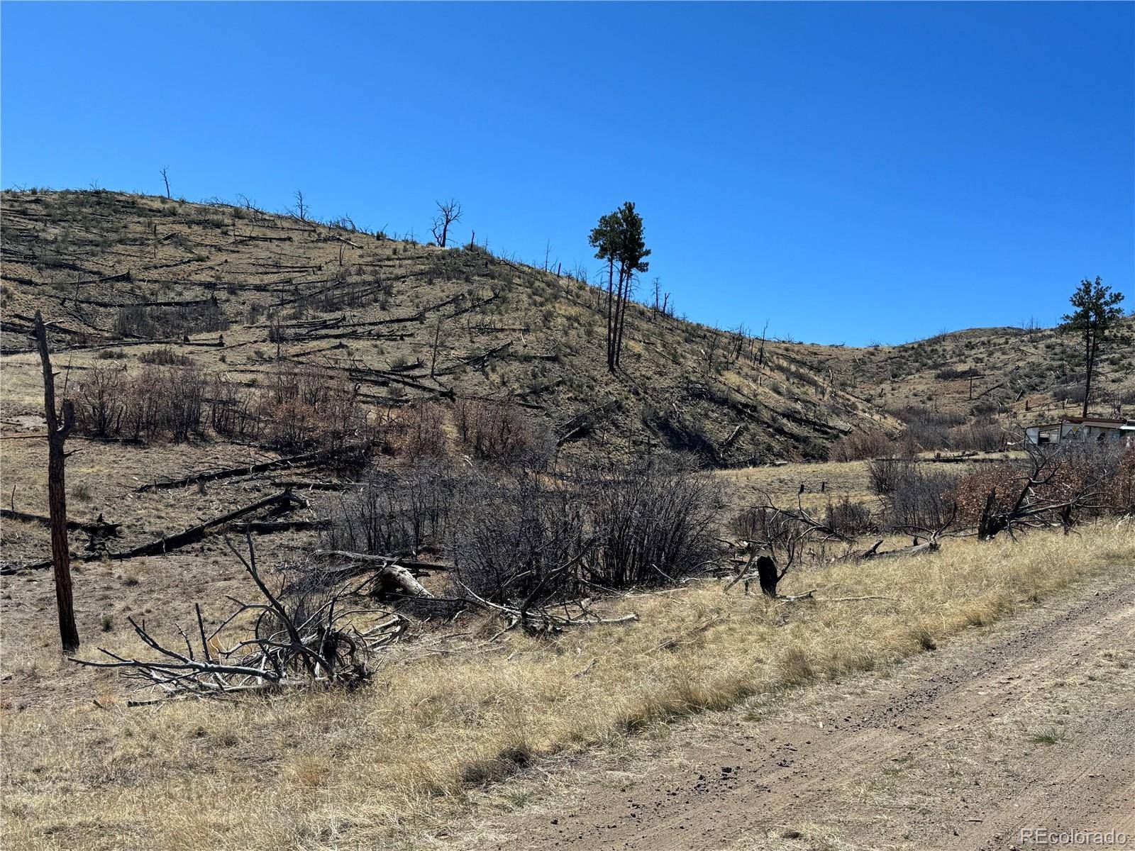 TBD 32nd F PATH, Cotopaxi, CO 81223