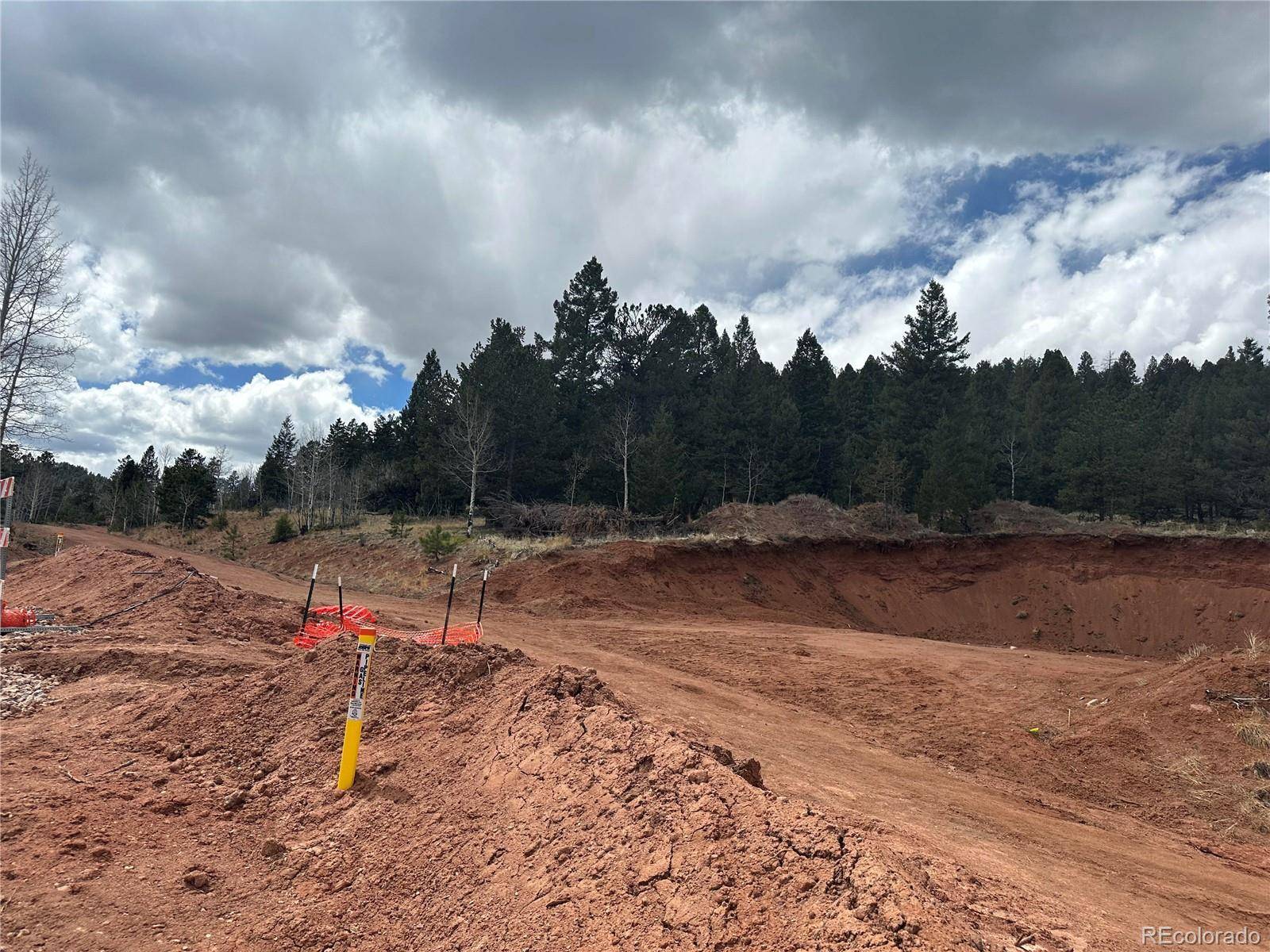 Firestone DR, Woodland Park, CO 80863