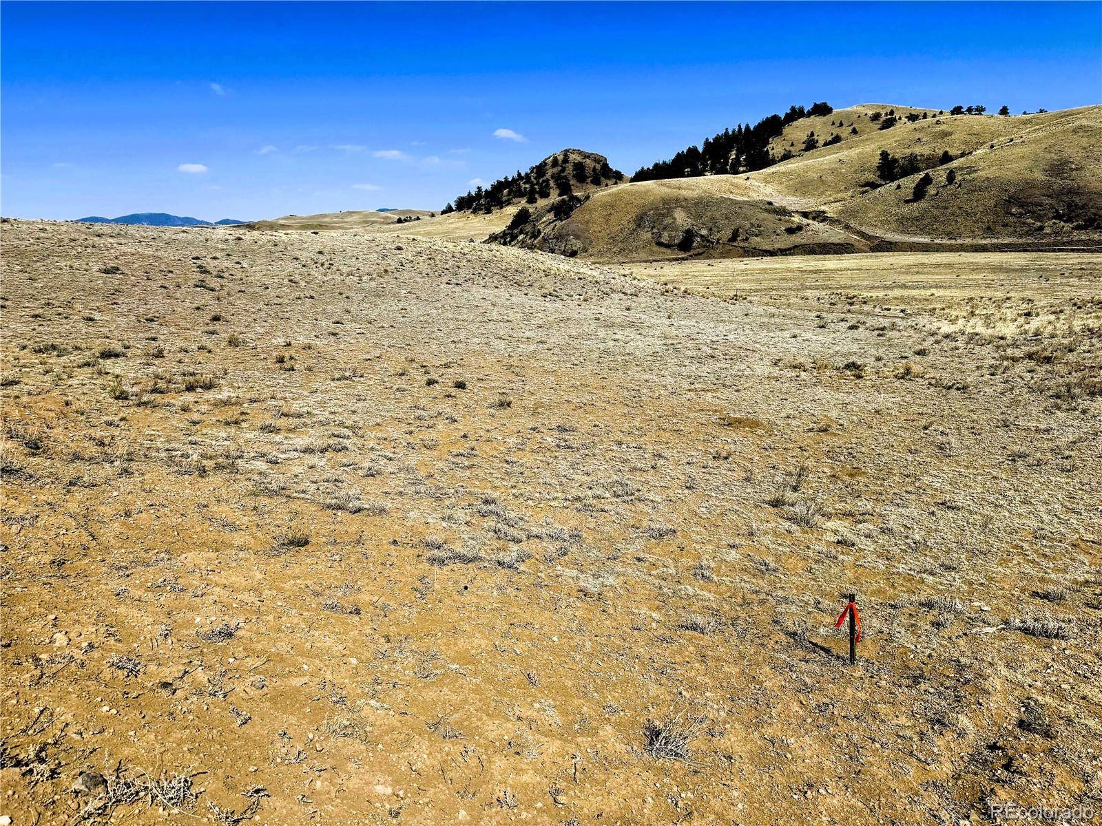 Lot 07 Cahokia RD, Hartsel, CO 80449
