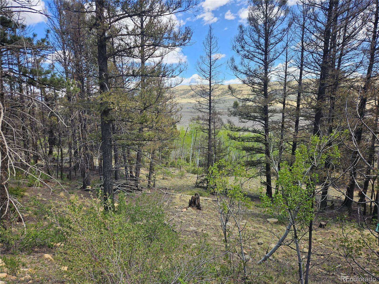 1412 Redhill RD, Fairplay, CO 80440